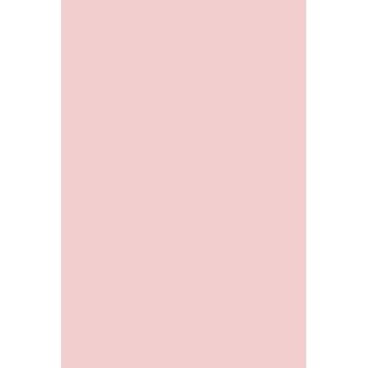 Power Base Pink Andreia Professional